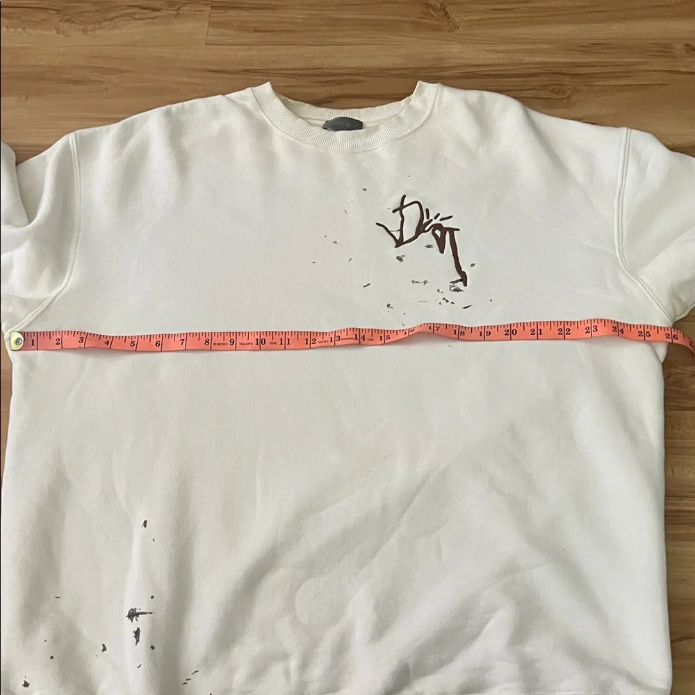 Dior x cactus jack oversized sweatshirt - Picture 14 of 14